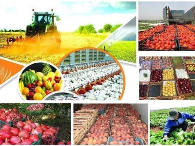 فراخوان واگذاری تصدی گری به روش مشارکتی سازمان جهاد کشاورزی آذربایجان شرقی