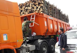 کشف و ضبط ۱۶۶ تن چوب قاچاق در آذربایجان‌شرقی