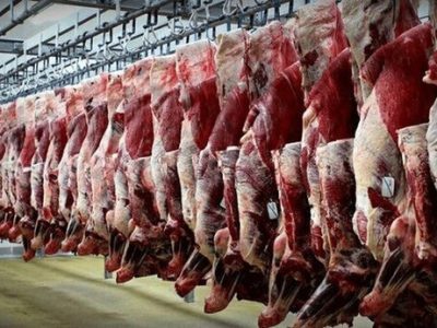 اجازه نمی دهیم از قیمت مصوب گوشت عدول کنند