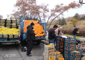 جمع‌آوری ۱۱۴ دستگاه وانت‌بار میوه‌فروش در سطح تبریز