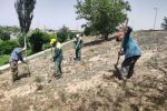 تداوم اجرای عملیات ایجاد و ترمیم تشتک پای درختان در سطح تبریز